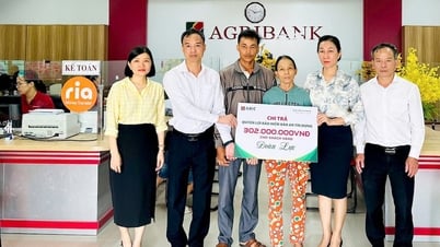 Das Vertrauen der Agribank Insurance zurückgewinnen