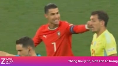 ロナウドの物議を醸した瞬間