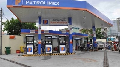 Petrolimex (PLX) sắp trả cổ tức năm 2024 tỉ lệ 12%