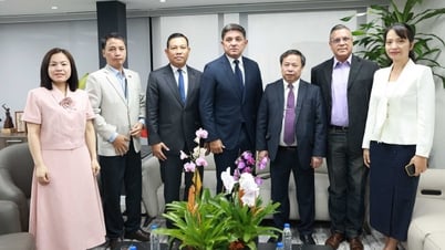 Venezuela sẽ tạo điều kiện tốt nhất cho các nhà đầu tư nông nghiệp Việt Nam