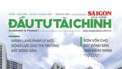 ĐÓN ĐỌC SGGP ĐẦU TƯ TÀI CHÍNH
