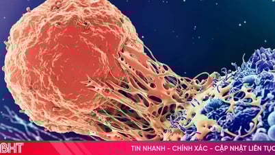 Nouvelles avancées dans le traitement du cancer