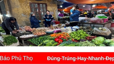 Giá một số mặt hàng tiêu dùng ngày 9/6/2025