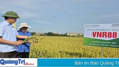 Promote testing of new rice varieties