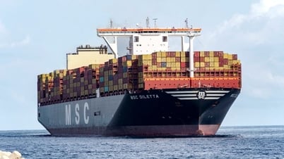 [Tin tức Hàng hải] MSC lập kỷ lục khi siêu tàu 24.000 TEU cập cảng Tây Phi, hứa hẹn tái định hình bức tranh kinh tế khu vực