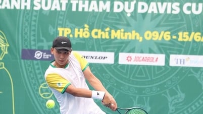 Criterios de selección de la Copa Davis de Vietnam