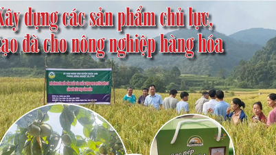 ការកសាងផលិតផលសំខាន់ៗ ការបង្កើតសន្ទុះសម្រាប់វិស័យកសិកម្មទំនិញ - ផ្នែកទី 1