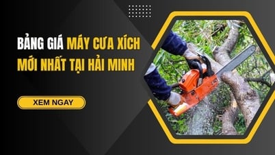 Bảng giá máy cưa xích mới nhất tại Hải Minh