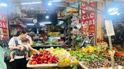 Bỏ thuế khoán: Cải cách chỉ thành công khi đi đến cùng và loại bỏ thói quen cũ