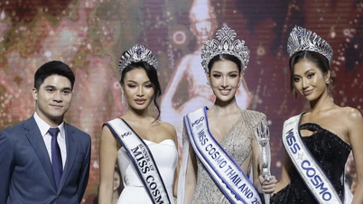 Miss Cosmo 2025 gibt herausragende asiatische Vertreter bekannt