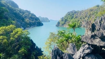 Đẩy nhanh tiến độ thực hiện các khu bảo tồn biển Quảng Ninh