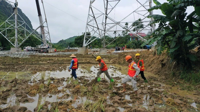 Dự án Đường dây 500kV Lào Cai-Vĩnh Yên: Khẩn trương thi công, phấn đấu hoàn thành vào ngày 19/8