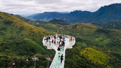 Positionnement de la marque de tourisme vert de Quang Nam : Tourisme durable et responsable