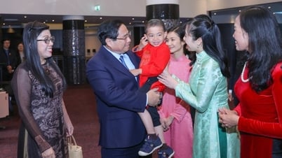Prime Minister: The Party and State always care about the Vietnamese community abroad, even if there is only one person.