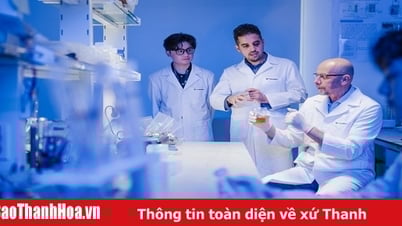 VinUni đặt mục tiêu vào TOP 100 đại học hàng đầu thế giới – Mời tuyển 500 nhà khoa học toàn cầu