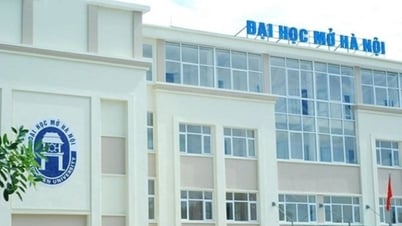 Add more universities to consider admission combination C00