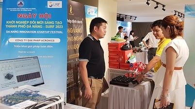 SURF 2025: Nuôi dưỡng kỳ lân
