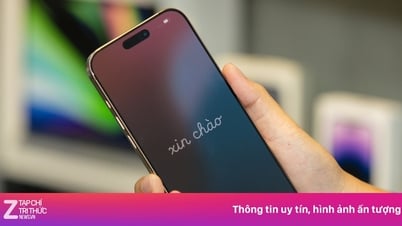 2 triệu iPhone/năm là lý do Apple đánh giá cao thị trường Việt Nam