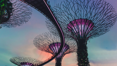 Du lịch Gardens By The Bay - Khám phá khu vườn độc đáo nhất Singapore