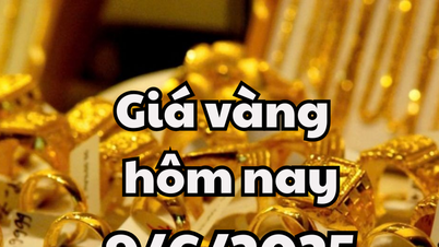 Cập nhật giá vàng sáng 9/6/2025: Vàng SJC tăng, Doji đi ngang, vàng thế giới sụt giảm