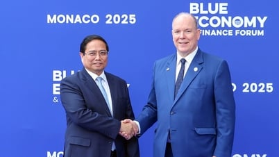 Vietnam strives to attract international investment for marine economy