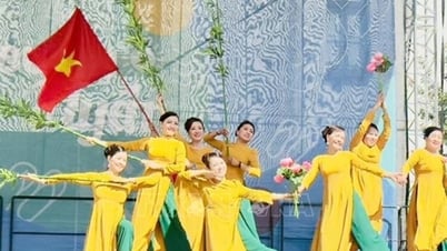 День вьетнамской культуры в Будапеште