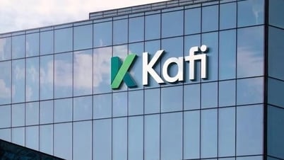Kafi Securities will den Aktionären 250 Millionen Aktien anbieten