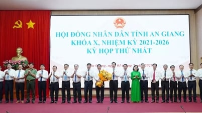 HĐND Cần Thơ, An Giang chỉ định Ủy viên UBND