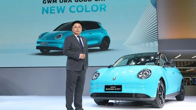تفاصيل Ora Good Cat 2025 من 349 مليون دونج