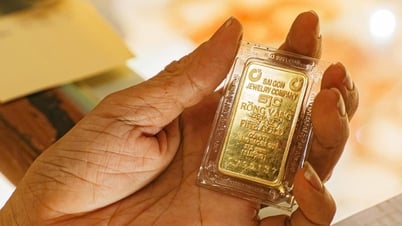 ارتفاع سعر الذهب إلى 121 مليون دونج/تيل