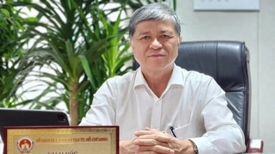 Annonce du directeur du département de l'éducation et de la formation de Hô-Chi-Minh-Ville après la fusion