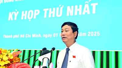Chủ tịch HĐND TPHCM Võ Văn Minh: Vận hành thông suốt bộ máy chính quyền địa phương 2 cấp