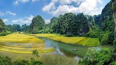สร้างนิญบิ่ญให้เป็นศูนย์กลางการพัฒนาอุตสาหกรรมมรดกและสีเขียว