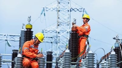 EVNNPC tinh gọn đến cấp cơ sở, tiếp tục nâng cao hiệu quả vận hành, dịch vụ khách hàng