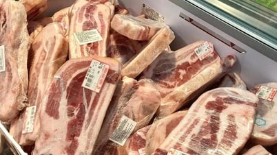 À partir du 1er juillet, les animaux importés à des fins alimentaires seront soumis à des méthodes d'échantillonnage de quarantaine supplémentaires.