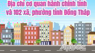Địa chỉ cơ quan hành chánh của 102 xã, phường tỉnh Đồng Tháp
