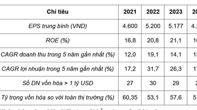Vietnam Report announces Top 50 prestigious and effective public companies in 2025