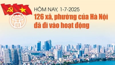 Hôm nay, 1-7-2025: