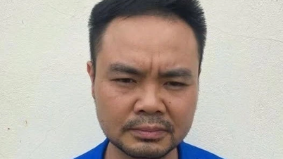 Hòa Bình khởi tố, bắt tạm giam Giám đốc Văn phòng Đăng ký đất đai huyện Yên Thủy