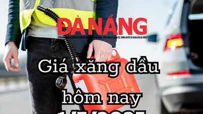 ราคาน้ำมันวันนี้ 1/7/2568 E5RON92 เพิ่มขึ้น 280 VND/ลิตร ดีเซลเพิ่มขึ้น 550 VND