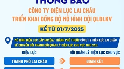 Lai Chau Electricity Company richtet regionale Managementteams ein