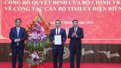 Đồng chí Trần Tiến Dũng được điều động, chỉ định làm Phó Bí thư Tỉnh ủy Điện Biên