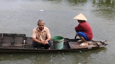Người đảng viên “đầu tàu” tìm hướng đi cho nông sản