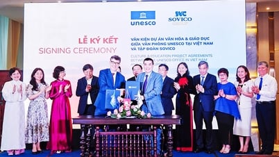 Coopération dans la mise en œuvre de projets visant à promouvoir la culture, l'éducation et le développement durable au Vietnam