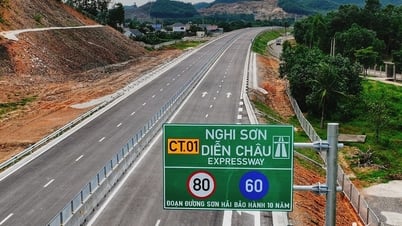 Los expertos dicen algo sorprendente sobre la baja oferta de Son Hai, pero aún así fue rechazada.