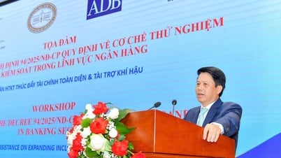 Controlled testing of the banking sector, paving the legal path towards the digital economy