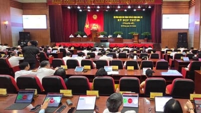 Urgently implement special policies for the development of Hai Phong City in the new period