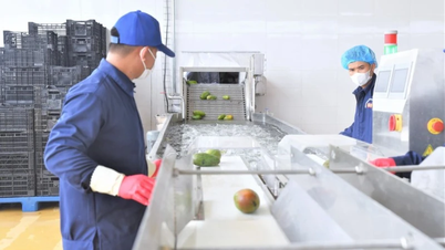 Verbindung von Produktion und Handel von Spezialitäten des Nordwestlichen Hochlandes