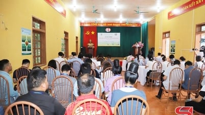 Son La launches general census of rural and agricultural areas in 2025
