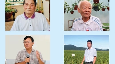 Expect breakthroughs from the new Khanh Hoa province